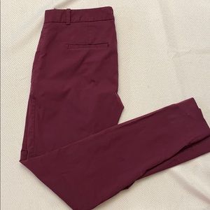 The Limited Exact Stretch Pants